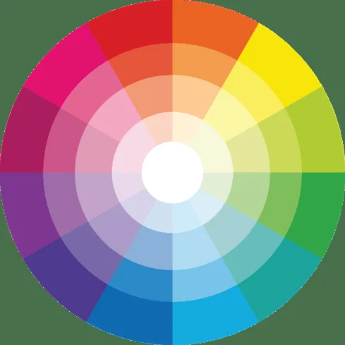 Creating a Harmonious Color Palette